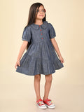 Solid Button Down Drop Waist Denim Dress