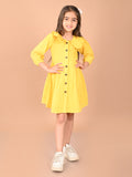 Lilpicks Fit & Flare Dress