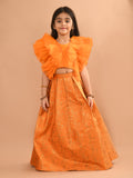 Ruffle Sleeveless Blouse with Brocade Flared Lehenga Set