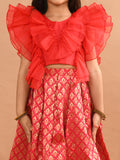 Ruffle Sleeveless Blouse with Brocade Flared Lehenga Set