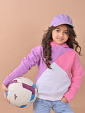 Colorblocked Full Sleeves Hooded Sweatshirt