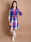 Checkered Print Button Down Long Sleeve Fit n Flare Dress