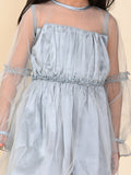 Balloon Full Sleeves Fit n Flare Net Party Dress