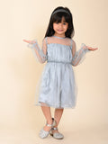 Balloon Full Sleeves Fit n Flare Net Party Dress
