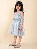 Balloon Full Sleeves Fit n Flare Net Party Dress