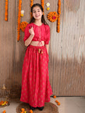 Button Down Knot Choli with Printed Lehenga Set