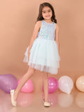 Sequin Embellished Knee Length Fit n Flare Net Dress