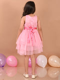 Sequin Embellished Knee Length Fit n Flare Net Dress