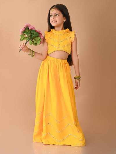 Mirror Embellished Sleeveless Choli with Flared Lehenga Set