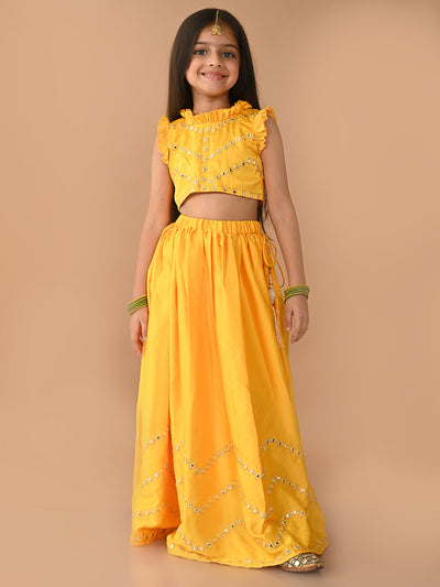 Mirror Embellished Sleeveless Choli with Flared Lehenga Set