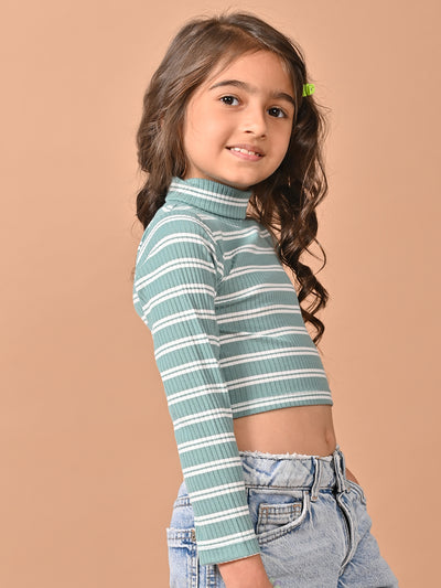Horizontal Stripes Full Sleeves Slim Fit High Neck Crop Top