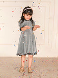 Shimmery Metalic Fit n Flare Party Dress