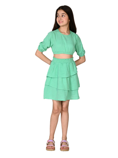 Solid Crop Top with Flared Skirt Set