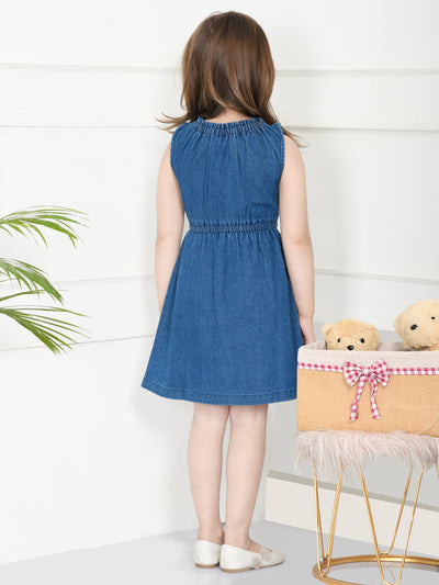 Blue Cycle Cute Gal Embroidered Fit And Flare Dress