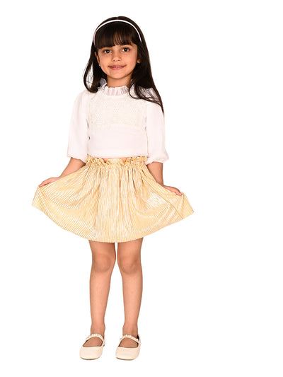 Embroidered Smoking Neck Top with Skirt Set