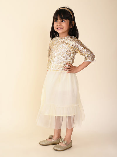 Sequin Party Top With Net Skirt Set
