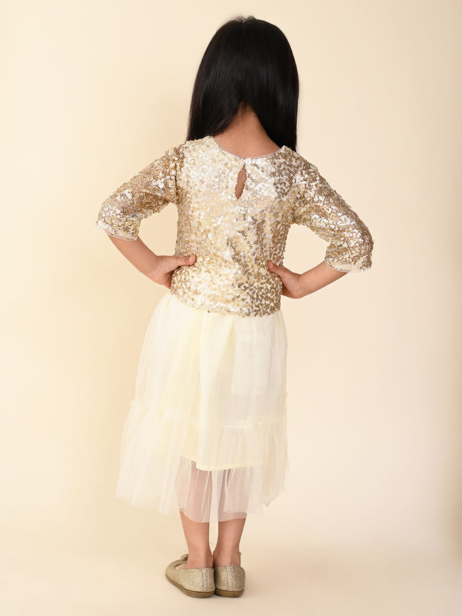 Sequin Party Top With Net Skirt Set