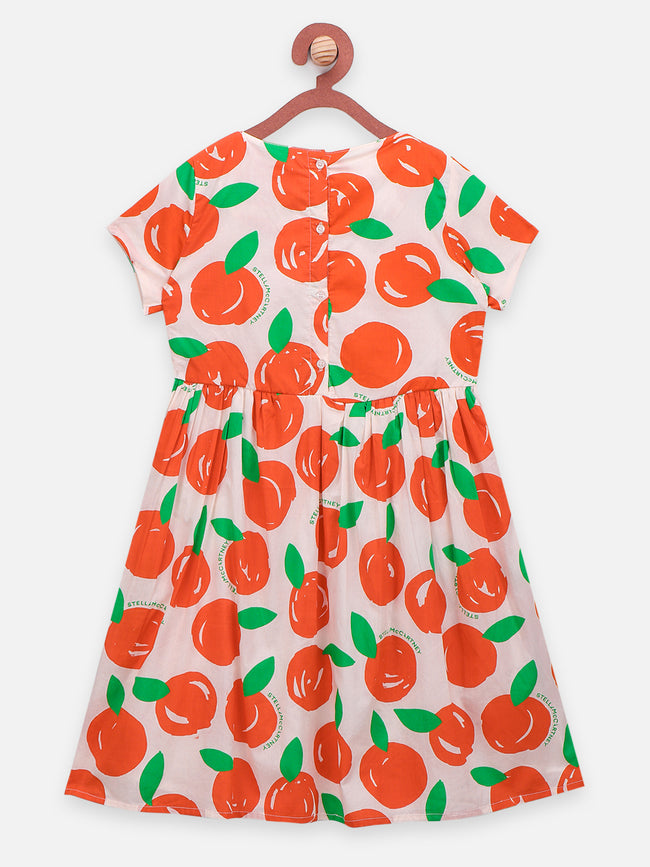 Fruit Printed Fit n Flare Dress