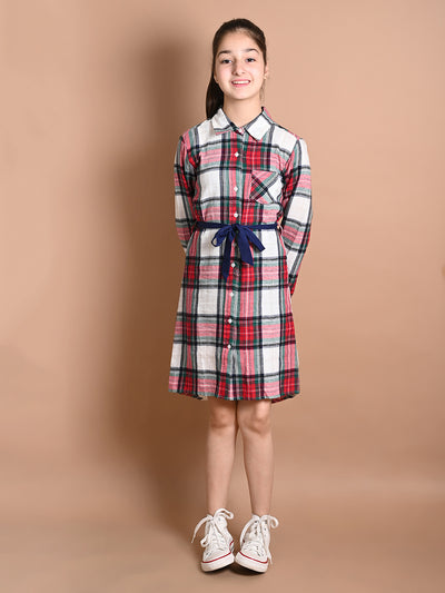 Checkered Print Button Down Shirt Collar Dress