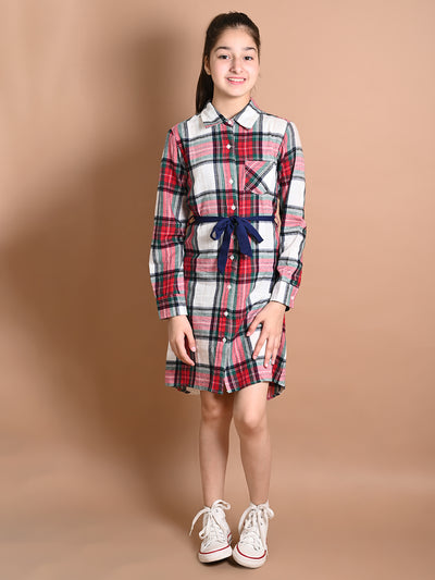 Checkered Print Button Down Shirt Collar Dress