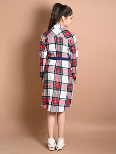 Checkered Print Button Down Shirt Collar Dress