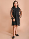 Collar Designed Net Sleeves A-line Dress