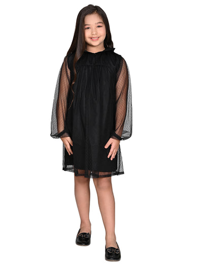 Collar Designed Net Sleeves A-line Dress