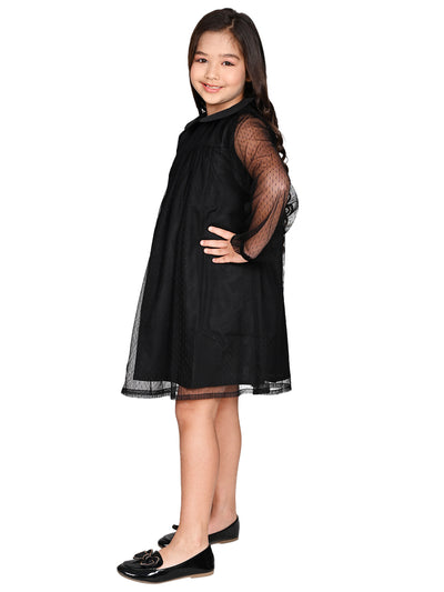Collar Designed Net Sleeves A-line Dress