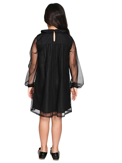 Collar Designed Net Sleeves A-line Dress