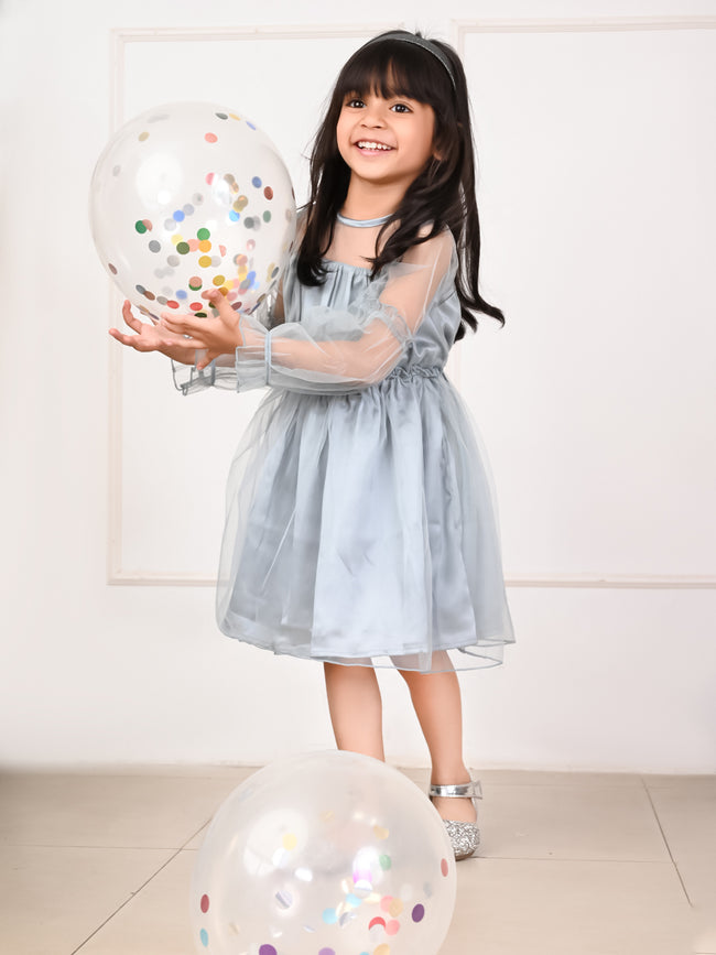 Balloon Full Sleeves Fit n Flare Net Party Dress